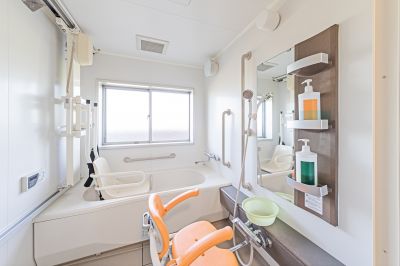Walk-In Tub Remodel detail